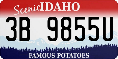 ID license plate 3B9855U