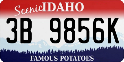 ID license plate 3B9856K