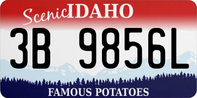 ID license plate 3B9856L