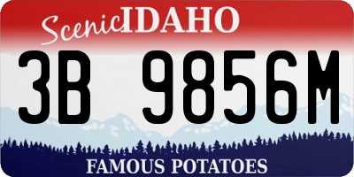 ID license plate 3B9856M