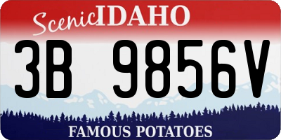 ID license plate 3B9856V