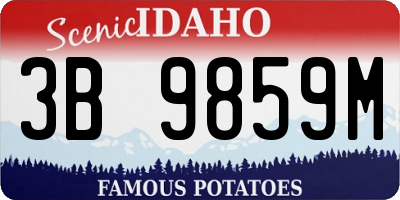 ID license plate 3B9859M