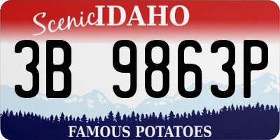 ID license plate 3B9863P