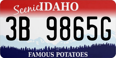 ID license plate 3B9865G