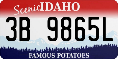 ID license plate 3B9865L