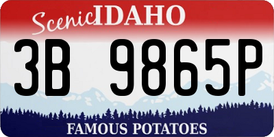 ID license plate 3B9865P
