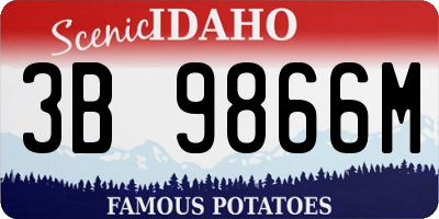 ID license plate 3B9866M