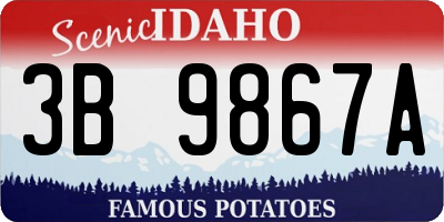 ID license plate 3B9867A