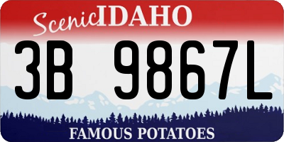 ID license plate 3B9867L