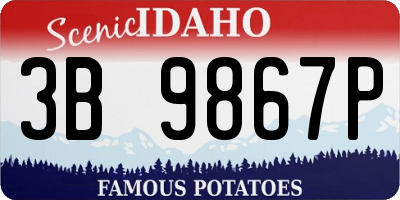 ID license plate 3B9867P