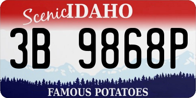 ID license plate 3B9868P