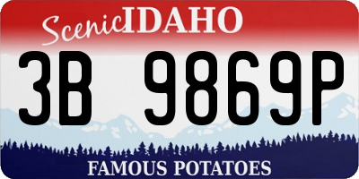 ID license plate 3B9869P