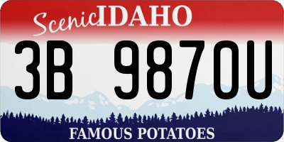 ID license plate 3B9870U