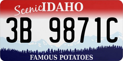 ID license plate 3B9871C