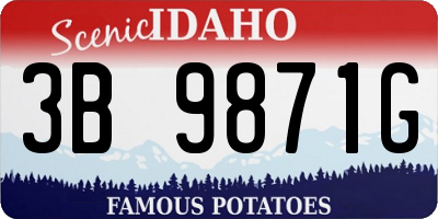 ID license plate 3B9871G