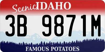ID license plate 3B9871M