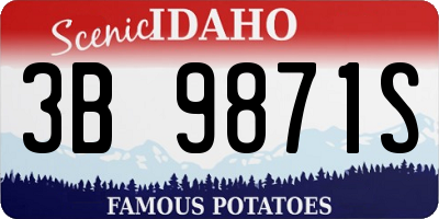 ID license plate 3B9871S