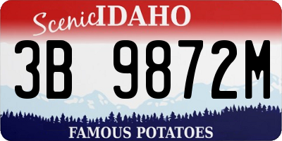 ID license plate 3B9872M