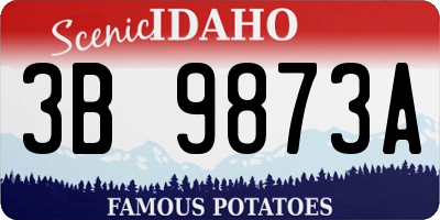 ID license plate 3B9873A
