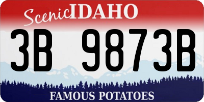 ID license plate 3B9873B