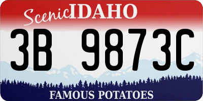 ID license plate 3B9873C