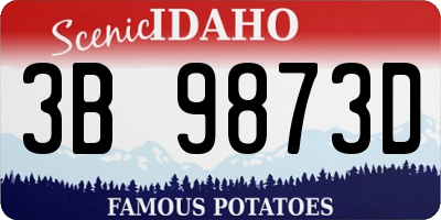 ID license plate 3B9873D