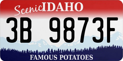ID license plate 3B9873F