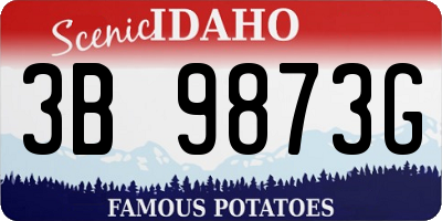 ID license plate 3B9873G