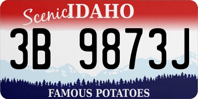 ID license plate 3B9873J