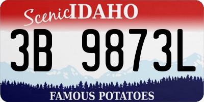 ID license plate 3B9873L