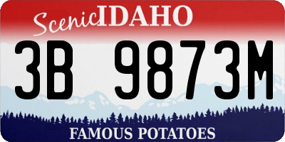 ID license plate 3B9873M