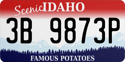 ID license plate 3B9873P