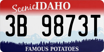 ID license plate 3B9873T
