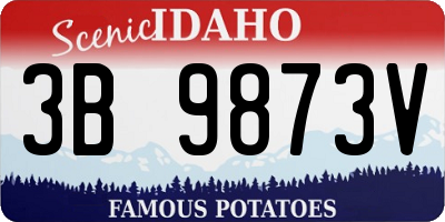 ID license plate 3B9873V