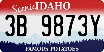 ID license plate 3B9873Y