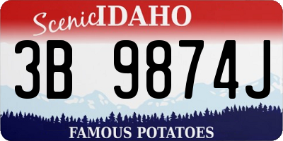 ID license plate 3B9874J