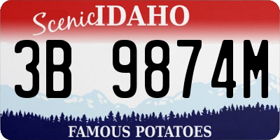 ID license plate 3B9874M