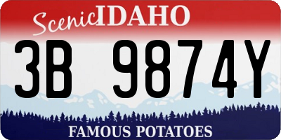ID license plate 3B9874Y