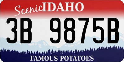 ID license plate 3B9875B