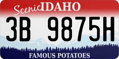 ID license plate 3B9875H
