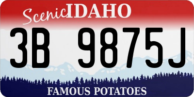 ID license plate 3B9875J