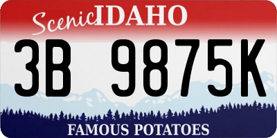 ID license plate 3B9875K