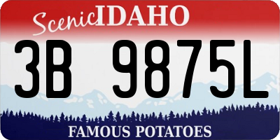 ID license plate 3B9875L