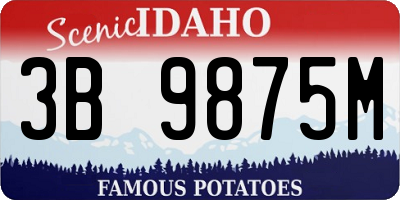 ID license plate 3B9875M