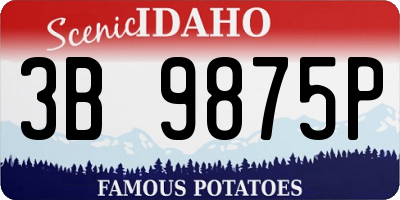 ID license plate 3B9875P
