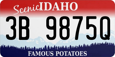 ID license plate 3B9875Q