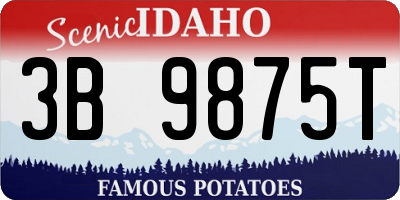 ID license plate 3B9875T