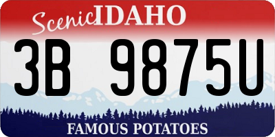 ID license plate 3B9875U