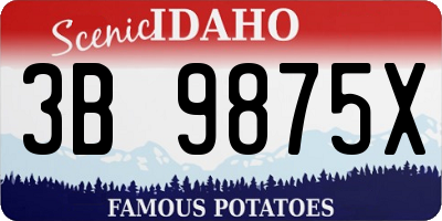 ID license plate 3B9875X