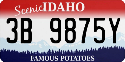 ID license plate 3B9875Y